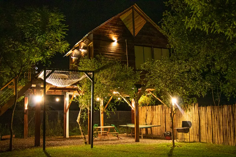 La Casa del Árbol iluminada de noche entre los árboles