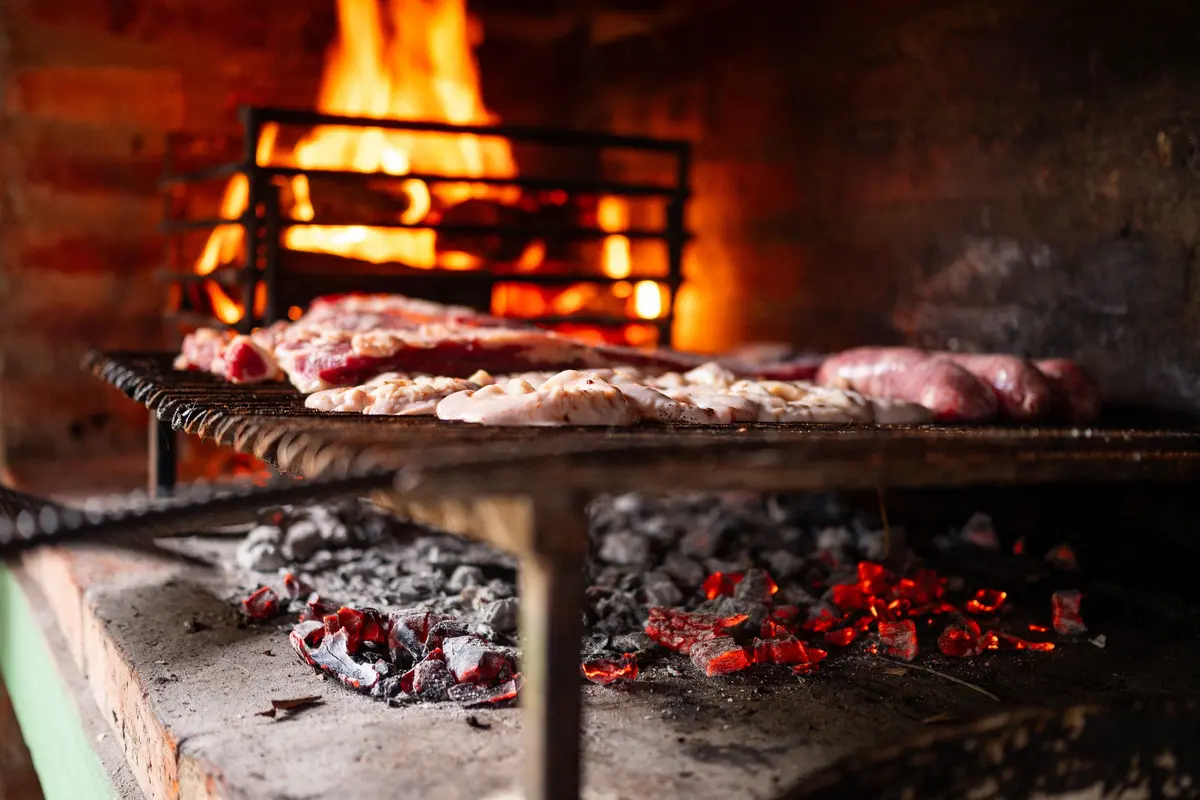 Carne y pollo sobre la parrilla, con las brasas encendidas